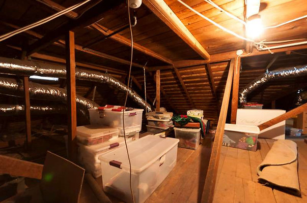 10254 attic 2