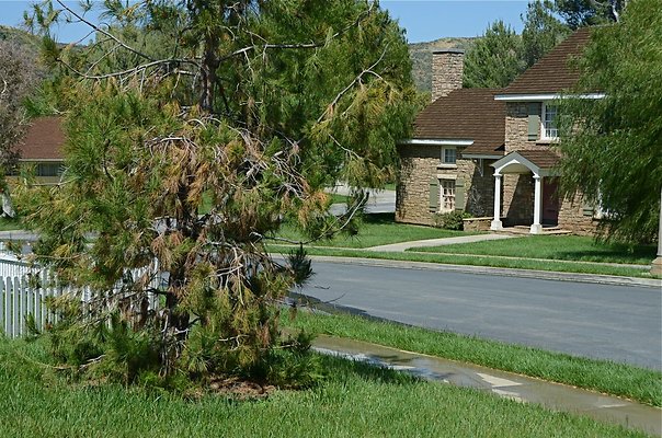 golden oaks ranch-south end - 053