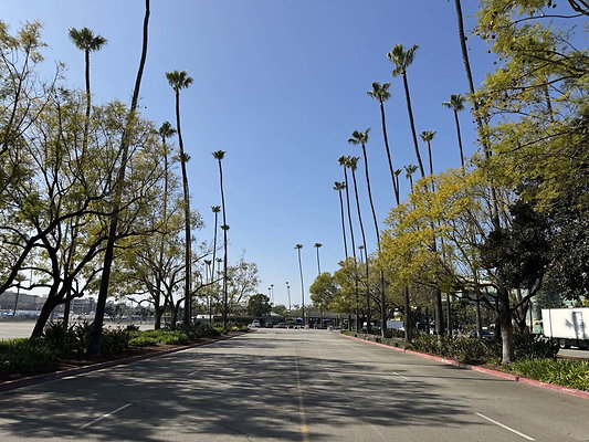 santa anita 003