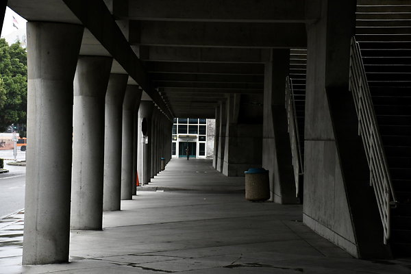 lacc south 041