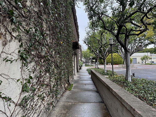 la river gardens 099