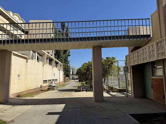 pas city college 122
