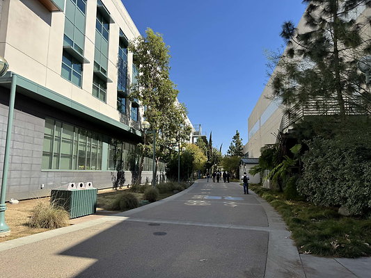 pas city college 133