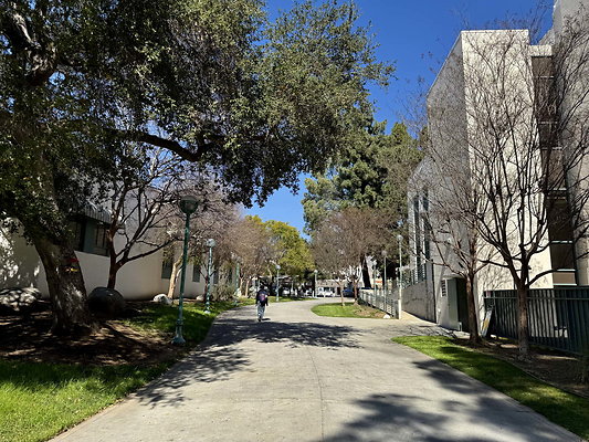 pas city college 080
