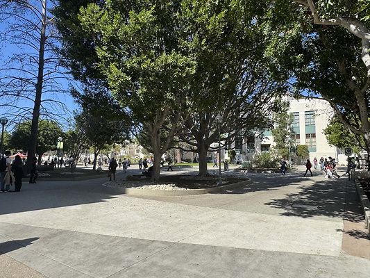 pas city college 065