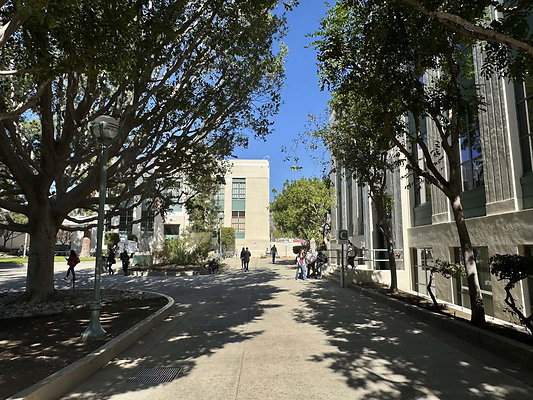 pas city college 066