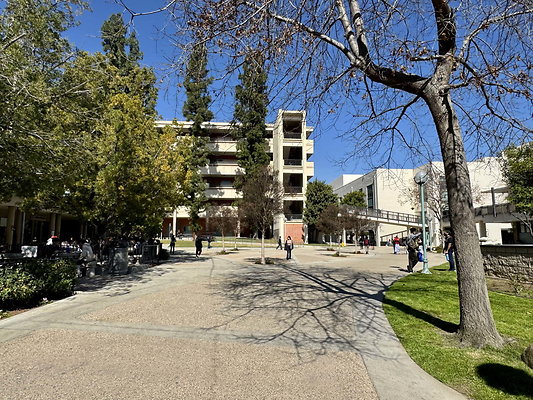 pas city college 138