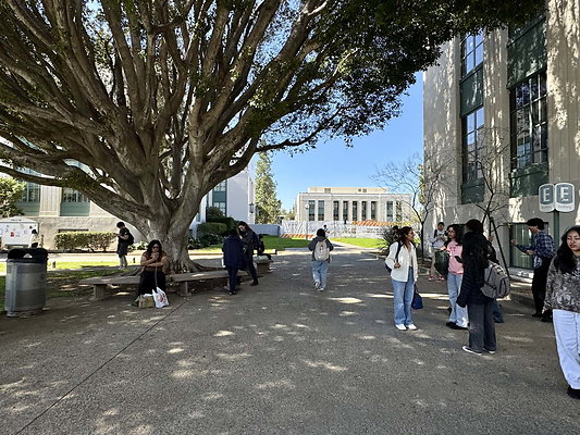 pas city college 060