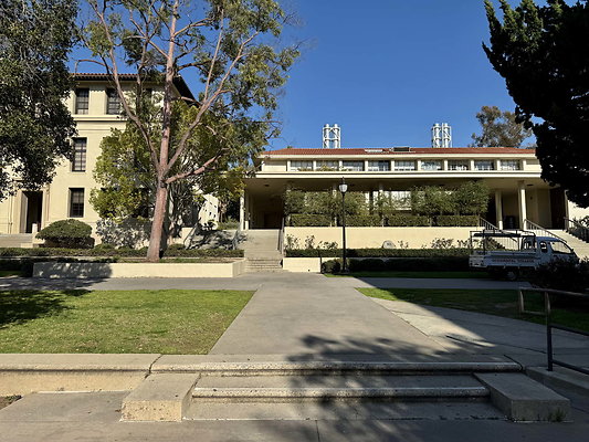 occidental 036