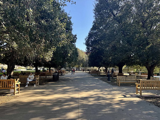 occidental 026