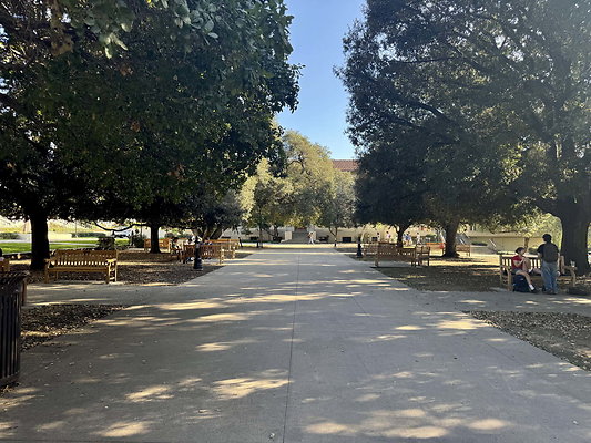 occidental 030