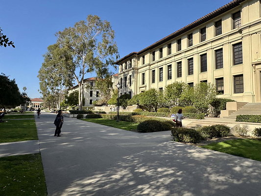 occidental 039