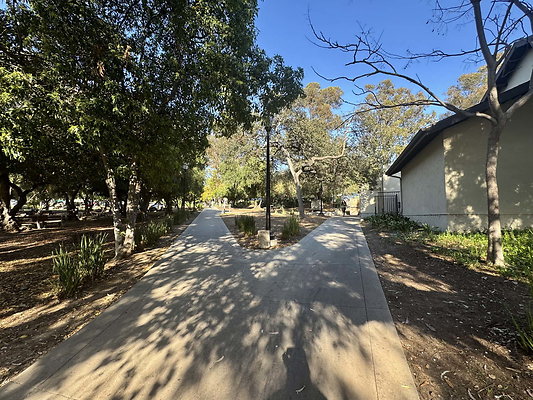occidental 064