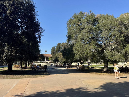 occidental 025