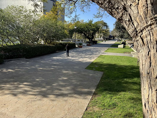 occidental 034