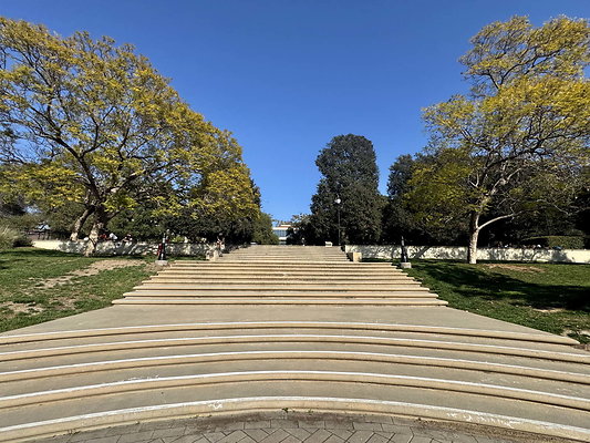 occidental 017