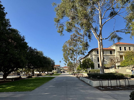 occidental 041