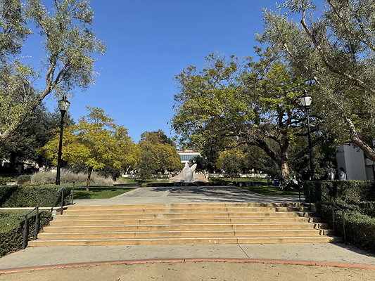 occidental 010