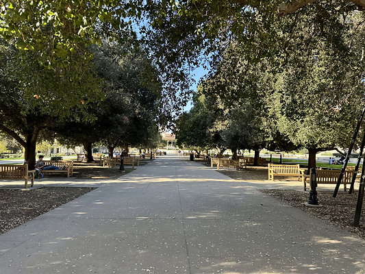 occidental 035