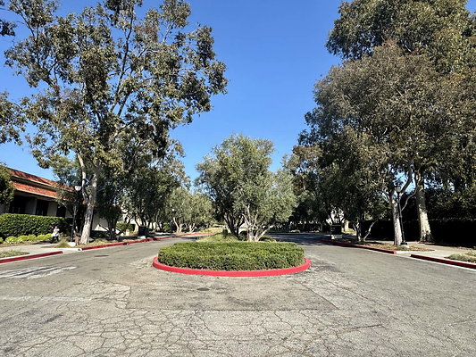 occidental 003