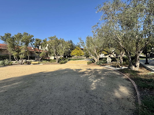 occidental 009