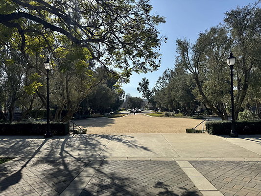 occidental 014