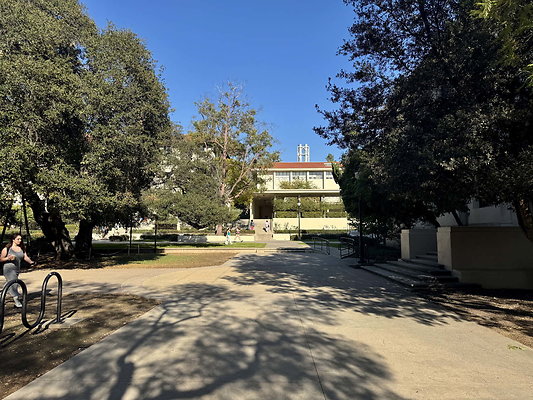 occidental 033