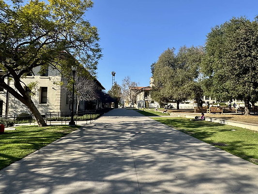 occidental 021