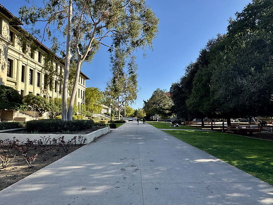 occidental 044