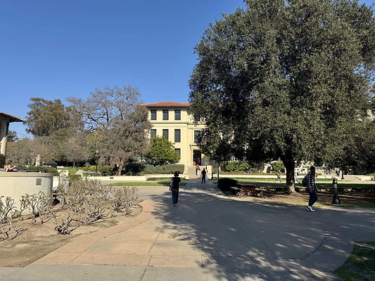 occidental 029