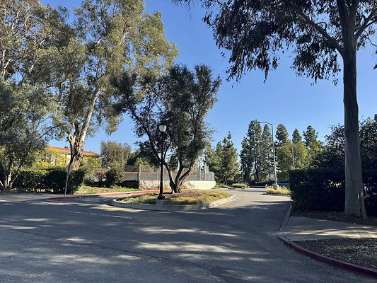 occidental 005