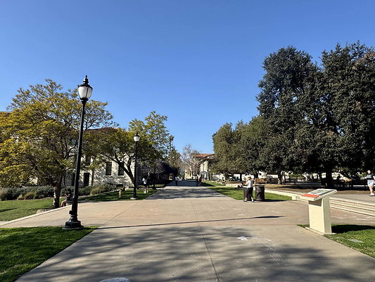 occidental 020