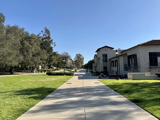 occidental 067