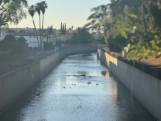 la river 4 016
