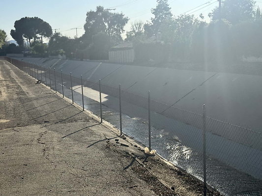 la river 2 021