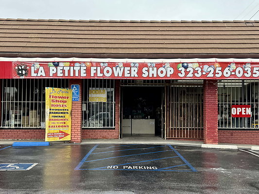 la petite 044