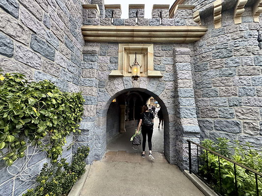 disneyland 062
