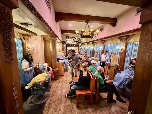 disneyland 068