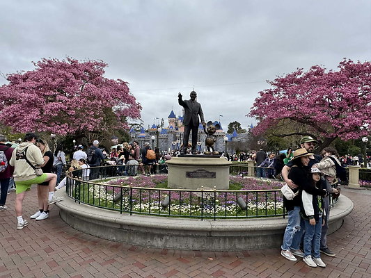 disneyland 051