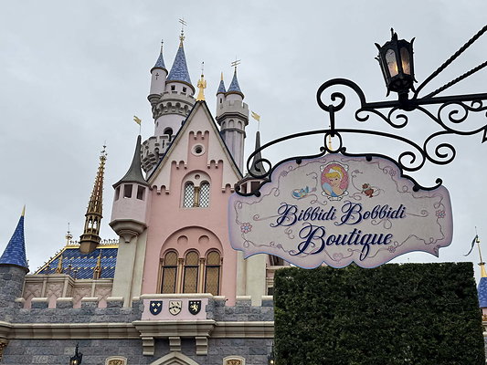 disneyland 073