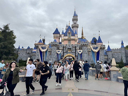 Disneyland Scout 03-17-25