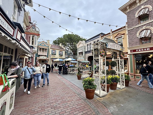 disneyland 042
