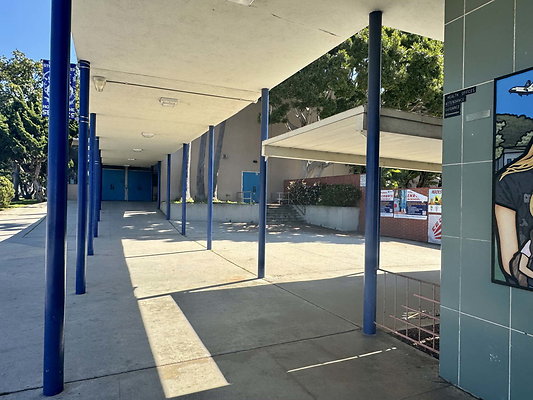 wright ms 007
