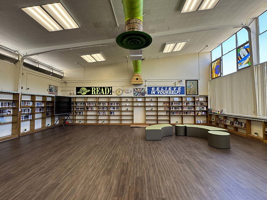 wright ms 031