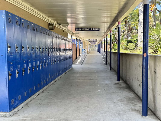wright ms 133 wright ms 133