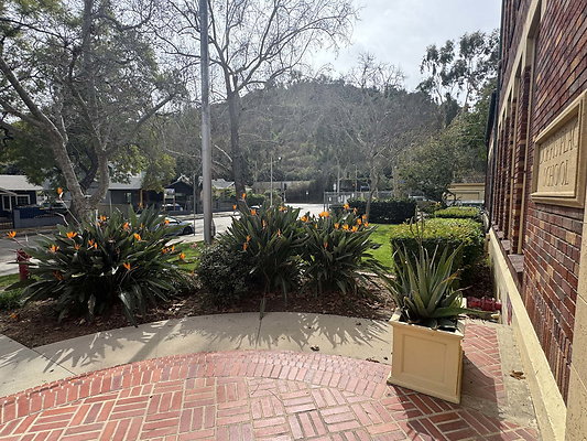 dorris place 021