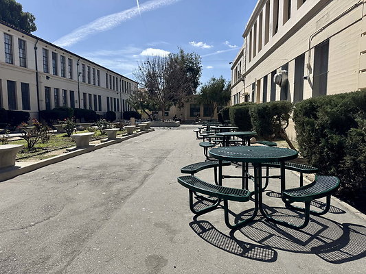 walter reed 076