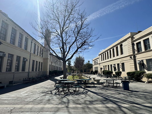 walter reed 050