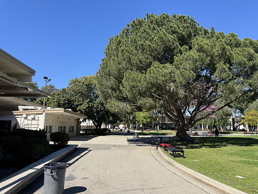 van nuys 102