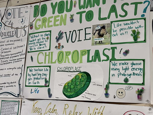 van nuys 098